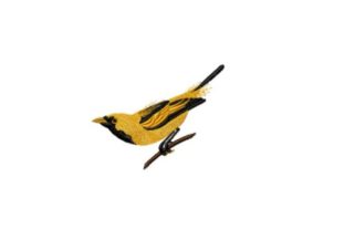Golden Haired Flycatcher: A Designer's Review