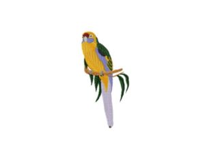 Green Rosella: A Designer's Review for Personalized Gifts