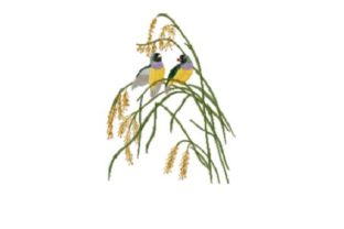 Painted Finch: A Charming Bird Design for Handmade Gifts