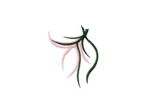 Pink Maiden Flower: A Designer's Review for Real Projects