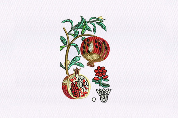 Vines Pomegranate: A Designer's Review for Real Projects